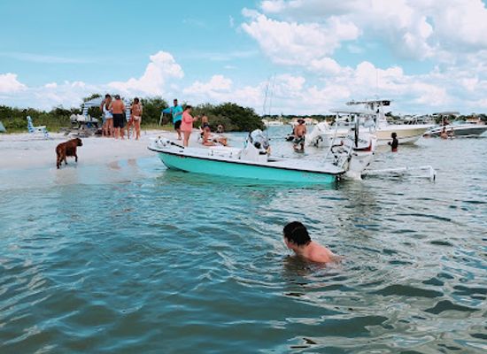 florida/honeymoon-island-state-park/attraction/honeymoon-island-state-park-pet-beach