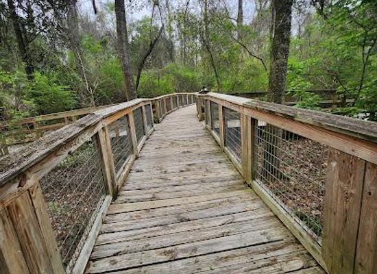 louisiana/baton-rouge/attraction/brec-s-bluebonnet-swamp-nature-center