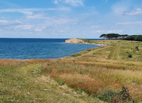 denmark/langeland/attraction/dovns-klint