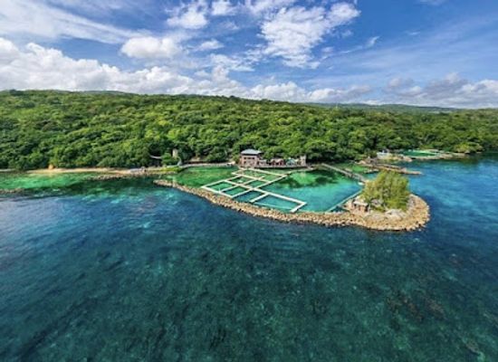 jamaica/cornwall-county/attraction/trav-sun-tours-jamaica