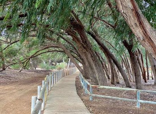 spain/murcia-region/attraction/parc-natural-de-las-lagunas-de-la-mata-y-torrevieja