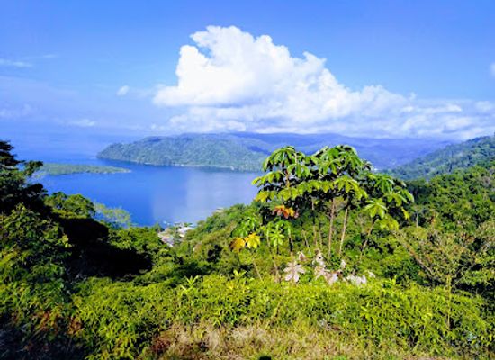 costa-rica/southern-zone/attraction/golfito-national-wildlife-refuge
