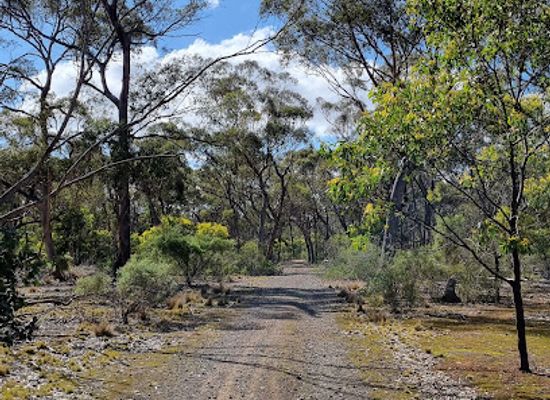 australia/northern-victoria/attraction/eynesbury-grey-box-forest