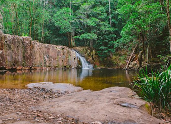 australia/mid-north-coast/attraction/waitui-falls