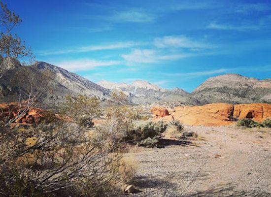 nevada/red-rock-canyon-national-conservation-area/attraction/buckskin-cliff-shadows