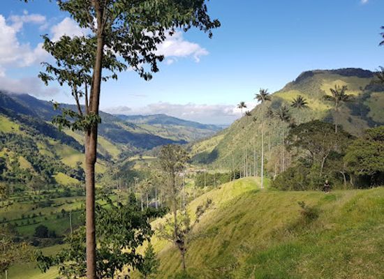 colombia/quindio-department/attraction/acaime-nature-reserve