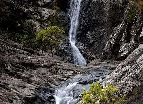 australia/outback/attraction/cedar-creek-falls-rd