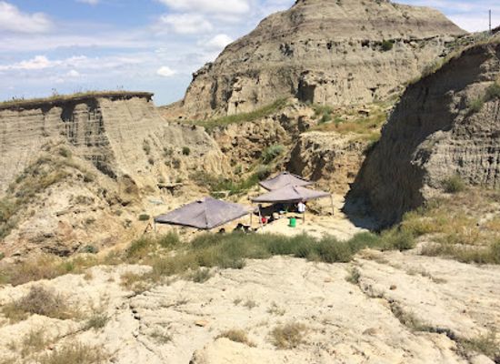 south-dakota/black-hills/attraction/paleoadventures
