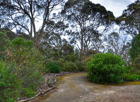 australia/fleurieu-peninsula/attraction/nangawooka-flora-reserve