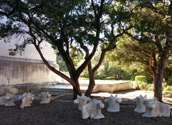 texas/central-texas/attraction/texas-science-natural-history-museum