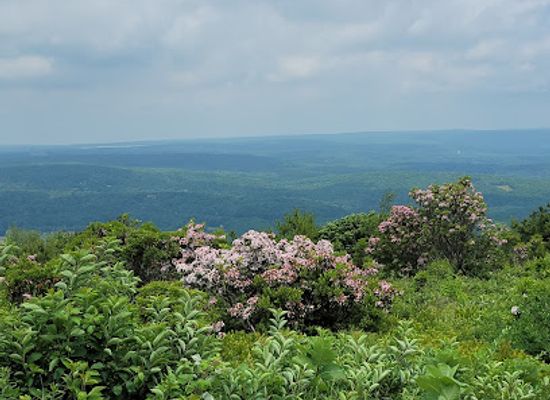 delaware/the-delaware-water-gap/attraction/big-pocono-state-park