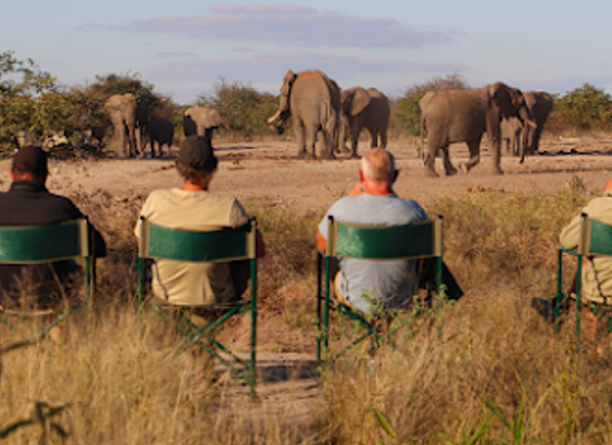 botswana/tuli-block/attraction/tswehe-wildlife-reserve