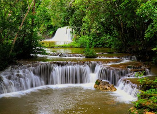 brazil/pantanal/attraction/pantanal-discovery-tour-to-pantanal-and-bonito