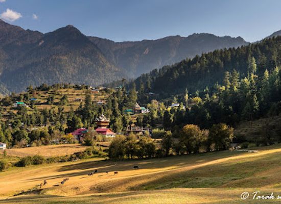 india/himachal-pradesh/attraction/sainj-valley