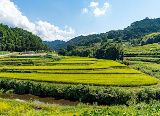 japan/nara-countryside/attraction/inabuchi-terraced-rice-fields