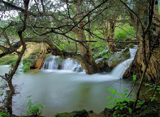 oman/salalah/attraction/the-bridge-tours-llc