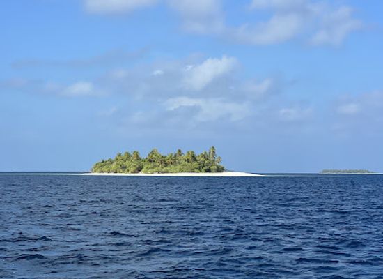 maldives/gaafu-dhaalu-atoll/attraction/odegalla-coral-garden