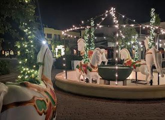 dominican-republic/punta-cana/attraction/cap-cana-marina