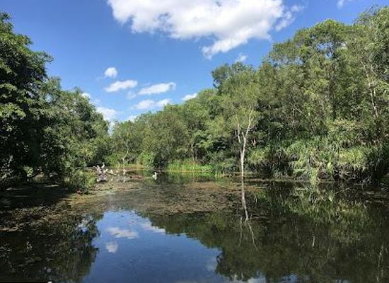 australia/darwin/attraction/territory-wildlife-park