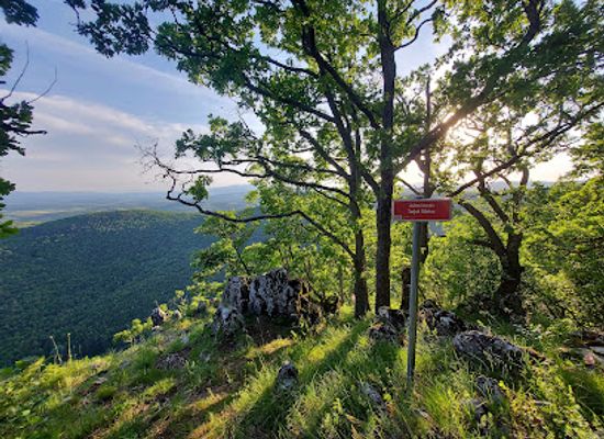 croatia/podravina/attraction/juzna-terasa
