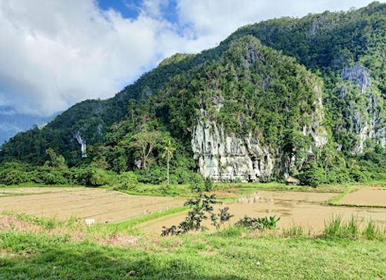 philippines/palawan/attraction/karst-mountain-elephant-cave