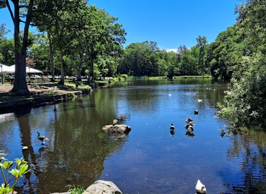 connecticut/stamford/attraction/stamford-museum-nature-center