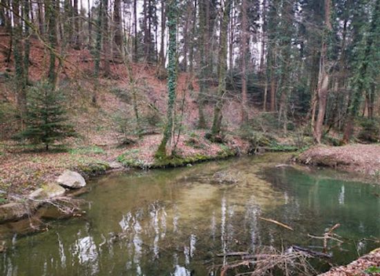switzerland/emmental/attraction/benzenschwiler-kinderweg