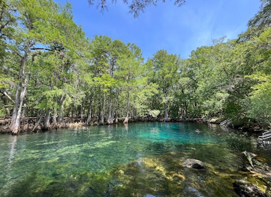 florida/juniper-springs-recreation-area/attraction/manatee-springs-state-park