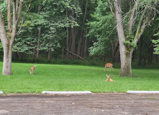 illinois/central-illinois/attraction/edward-r-madigan-state-park