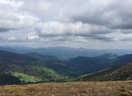 ukraine/dragobrat/attraction/naykrashchiy-krayevyd-karpat