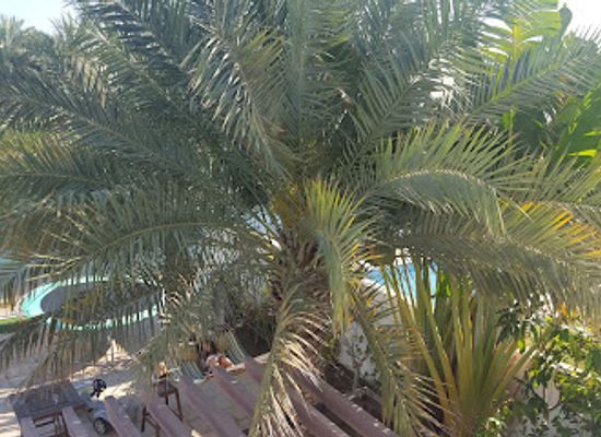 oman/muscat-governorate/attraction/al-mouj-island-park