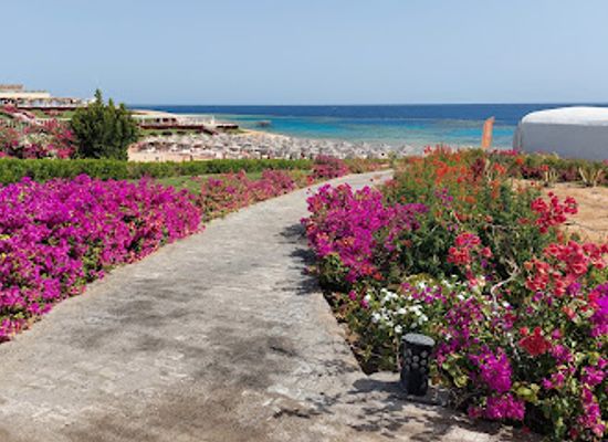 egypt/marsa-alam/attraction/bedouin-tent-tenda-del-beduino-scisha