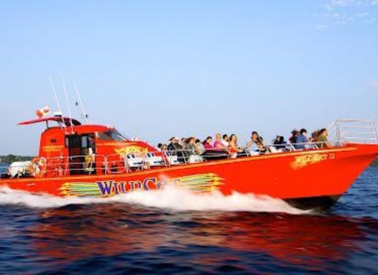 new-york/thousand-islands/attraction/1000-islands-seaway-cruises