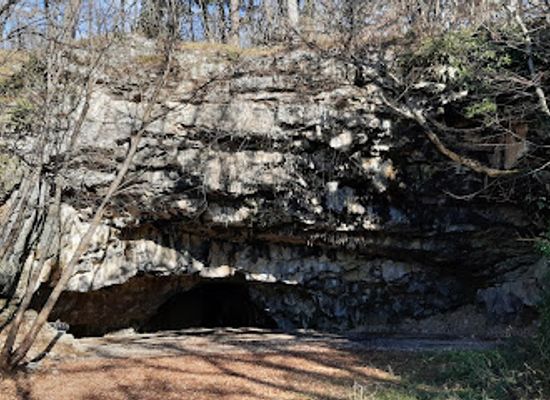 slovenia/coastal-karst/attraction/spodmol-pri-crnoticah
