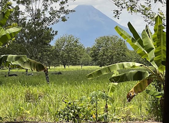 costa-rica/arenal-volcano-area/attraction/monkey-park-la-fortuna