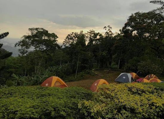 tanzania/morogoro/attraction/red-colobus-tours-and-travel-agency