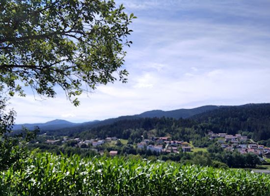 germany/upper-palatinate/attraction/panorama-park