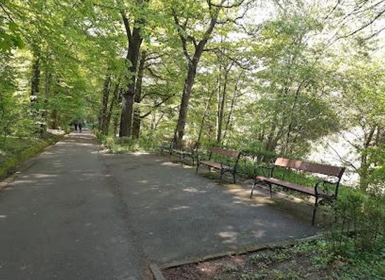 romania/pitesti/attraction/padurea-trivale