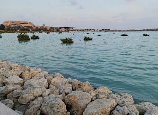 bahrain/hawar-islands/attraction/dohat-arad-park