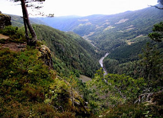 norway/rauland/attraction/raven-gorge