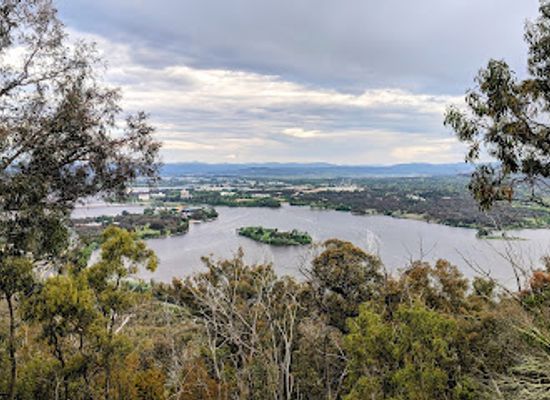 australia/south-west/attraction/black-mountain-nature-reserve