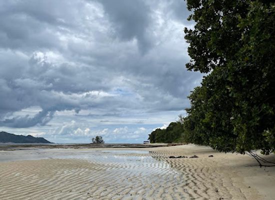 seychelles/ile-ronde/attraction/vanille-plantagen