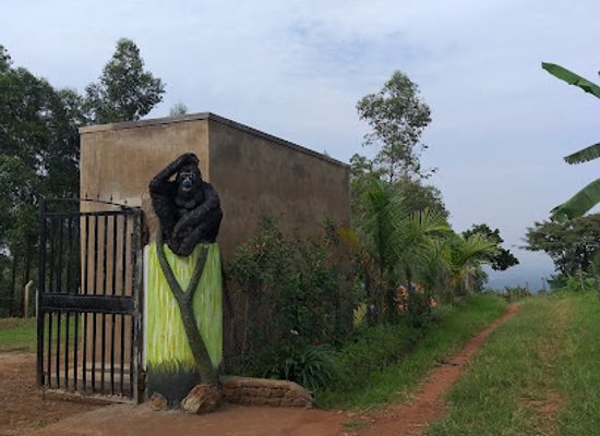 uganda/elgon/attraction/three-waterfalls-campsite