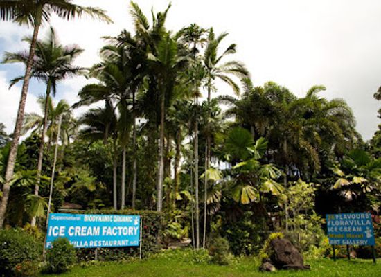 australia/cape-tribulation/attraction/floravilla-ice-cream-factory
