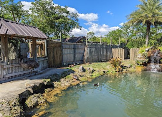 florida/everglades/attraction/everglades-alligator-farm