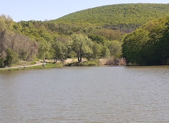 hungary/central-hungary/attraction/nagyborzsony-forest-railway