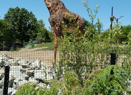 pennsylvania/pittsburgh/attraction/pittsburgh-zoo-aquarium