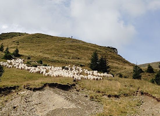 romania/bucegi-mountains/attraction/transbucegi