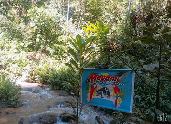 peru/tambopata-national-reserve/attraction/selva-central-paisaje-natural
