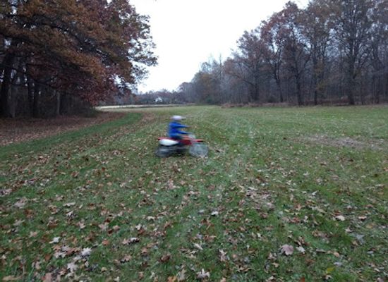 ohio/maumee-valley/attraction/maumee-state-forest
